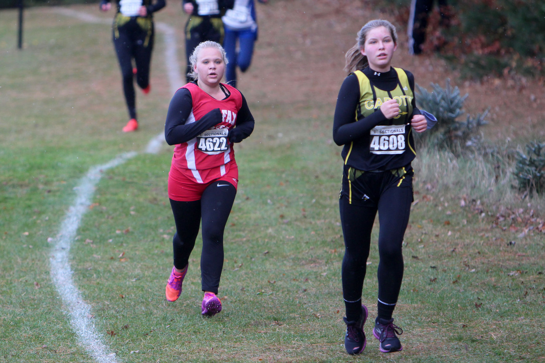 Division 3 Cross Country Sub-Sectional at Colfax 10-19-20